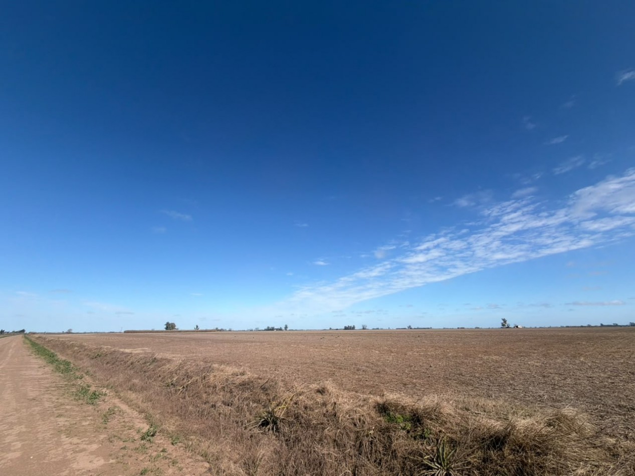 35Ha campo 100% agricola