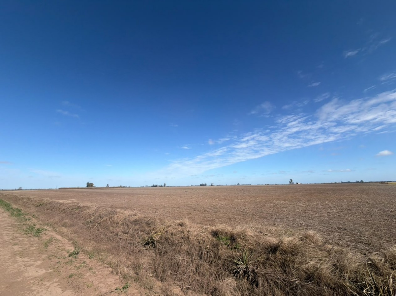 35Ha campo 100% agricola