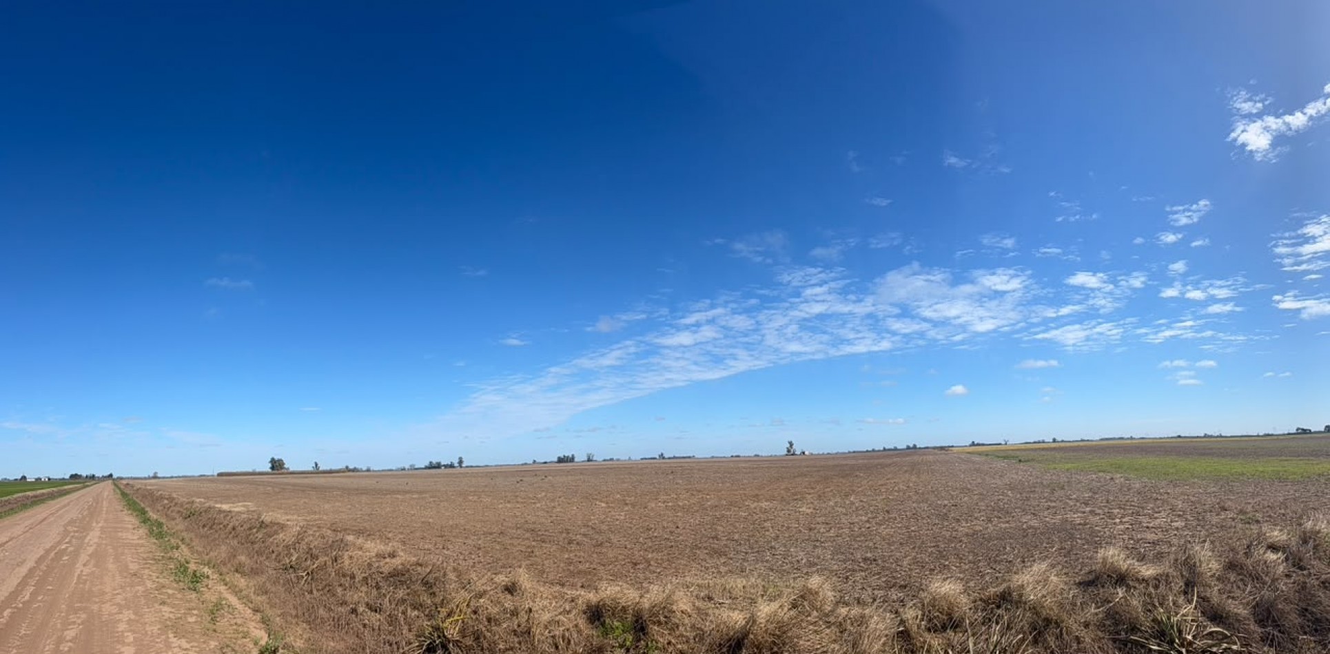 35Ha campo 100% agricola
