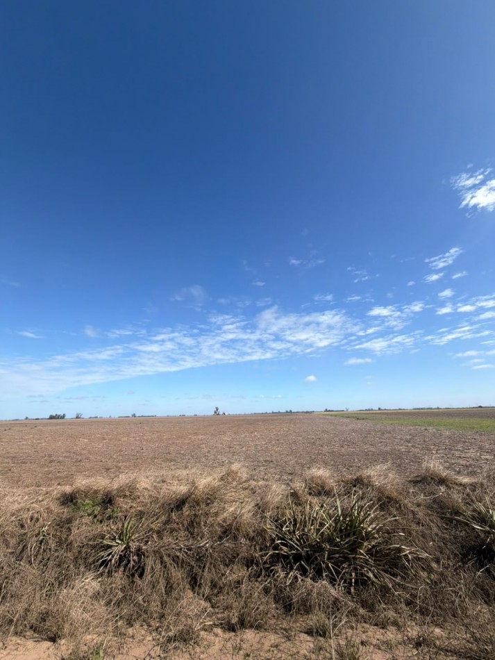 35Ha campo 100% agricola