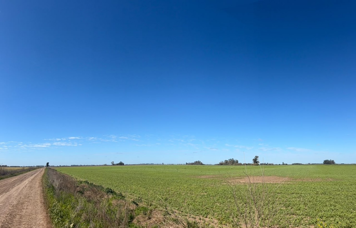 52Ha campo 100% agricola