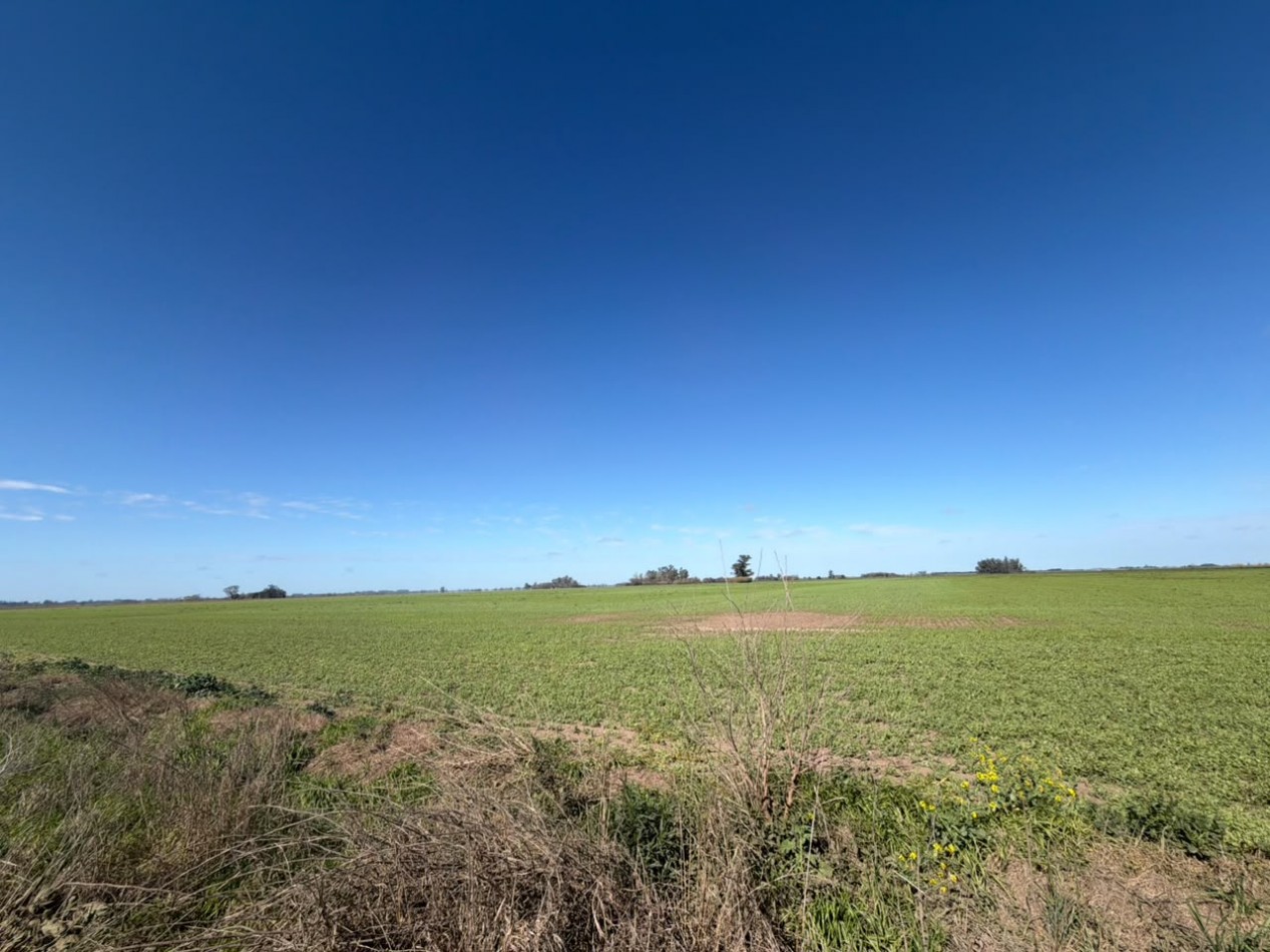 52Ha campo 100% agricola