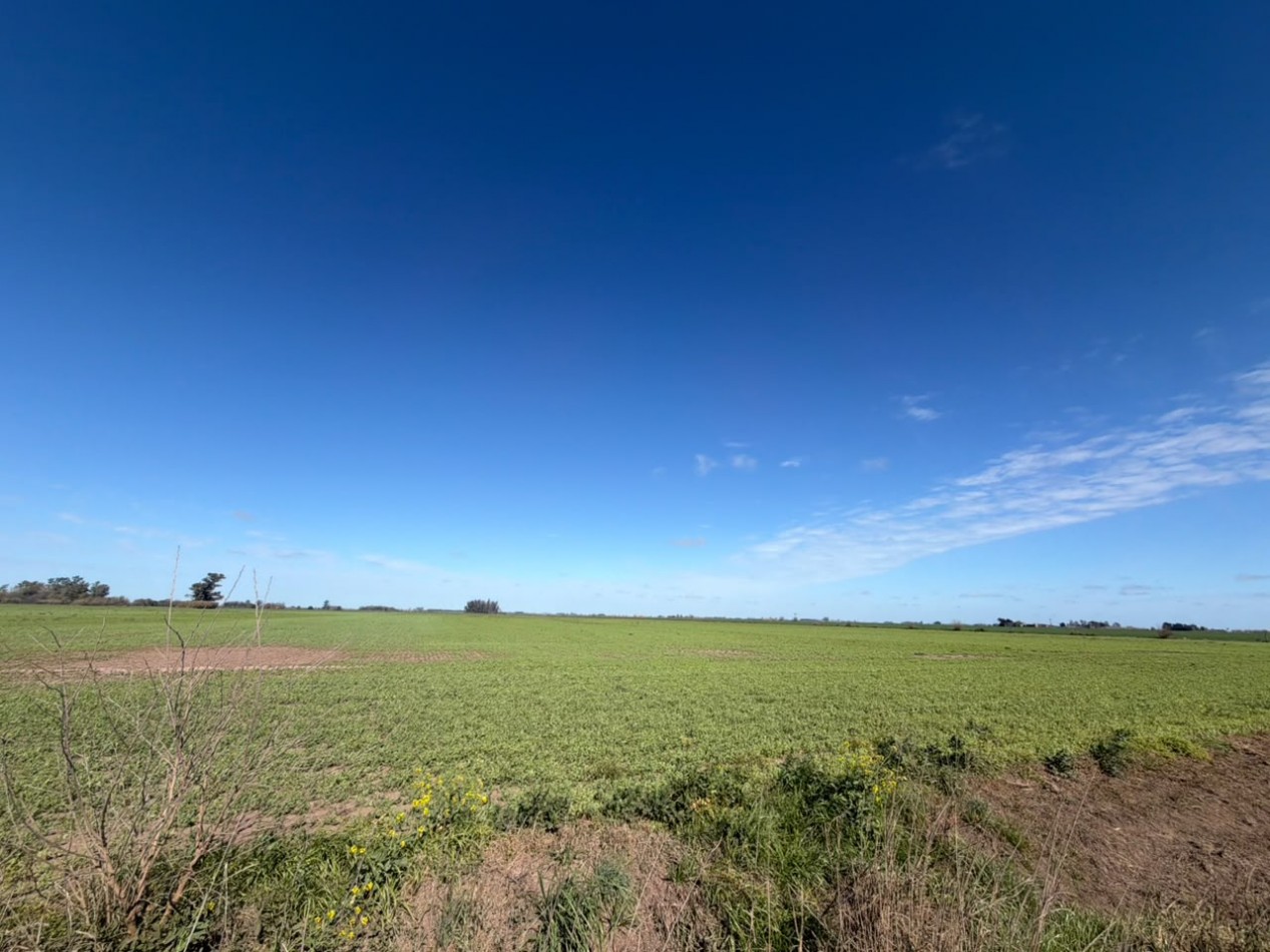52Ha campo 100% agricola