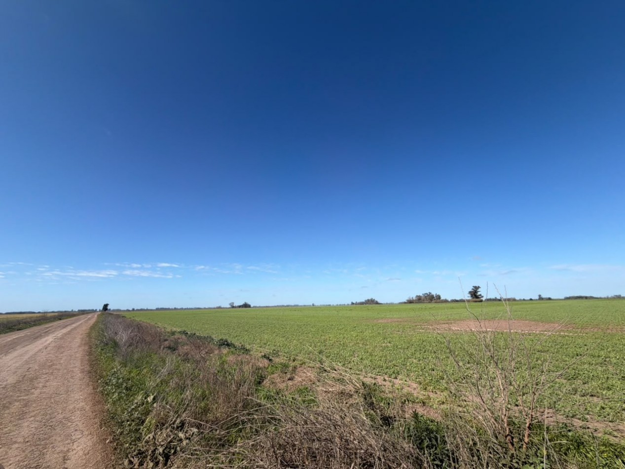 52Ha campo 100% agricola