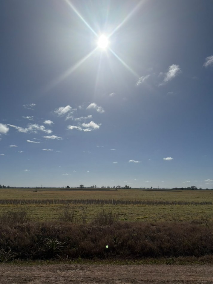  50Ha 100% para agricultura