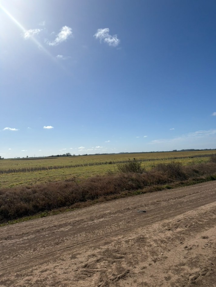  50Ha 100% para agricultura