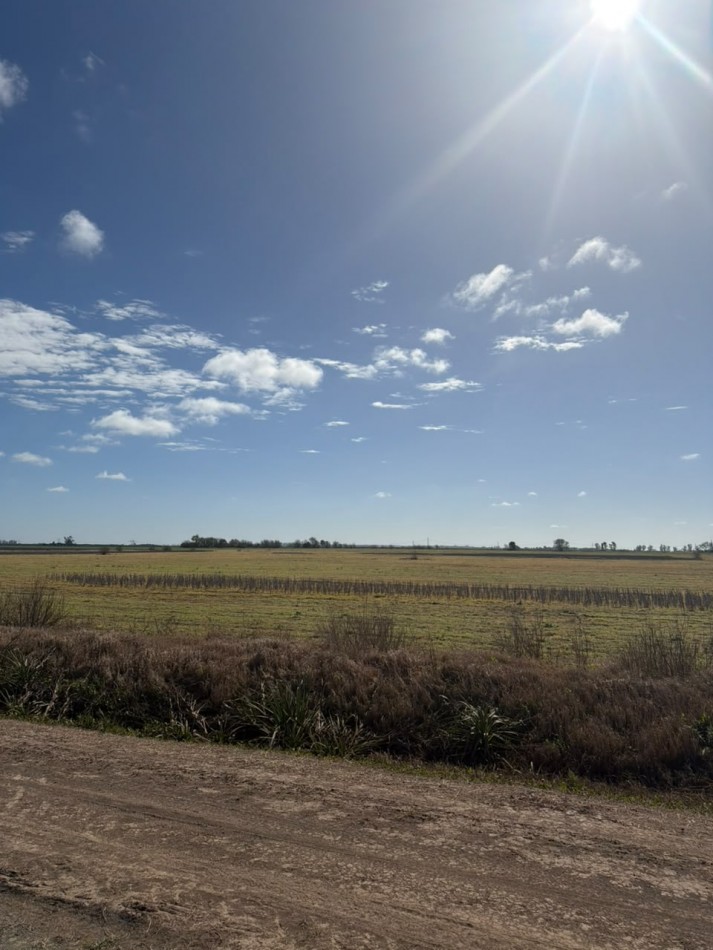  50Ha 100% para agricultura