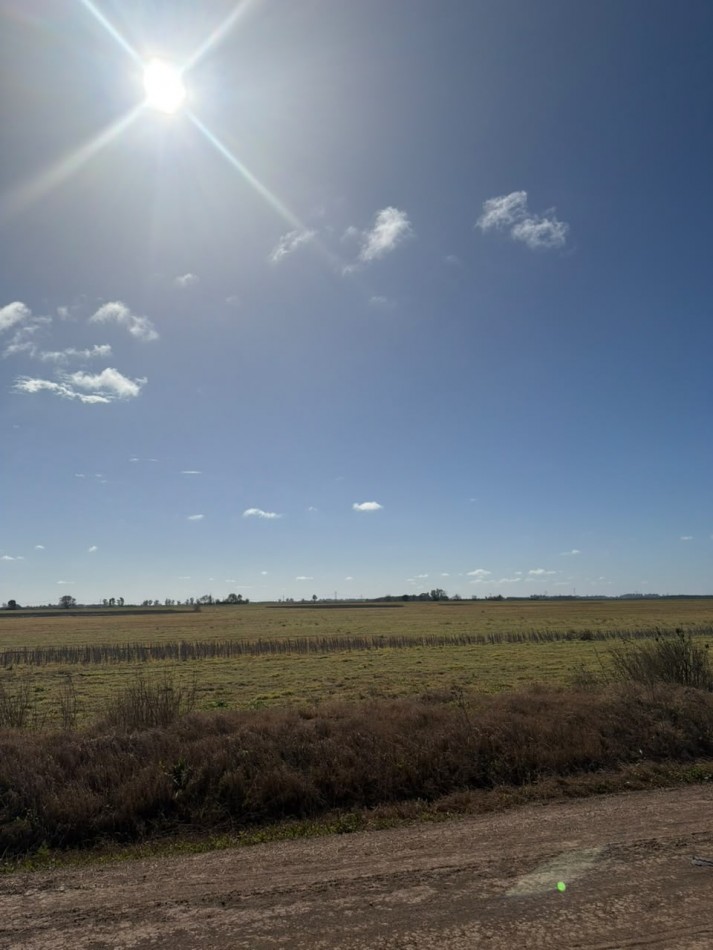  50Ha 100% para agricultura