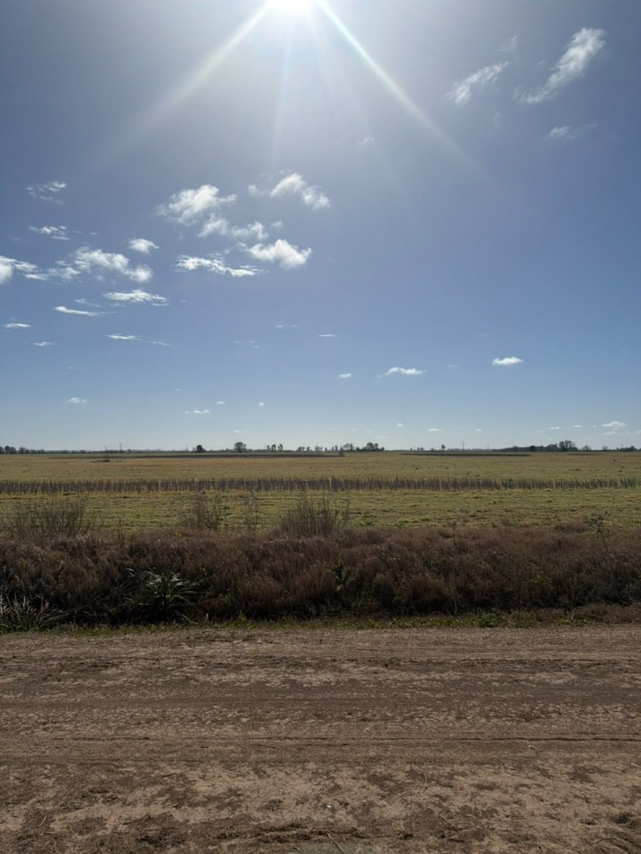  50Ha 100% para agricultura