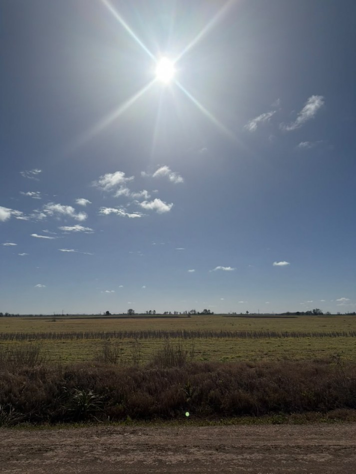  50Ha 100% para agricultura