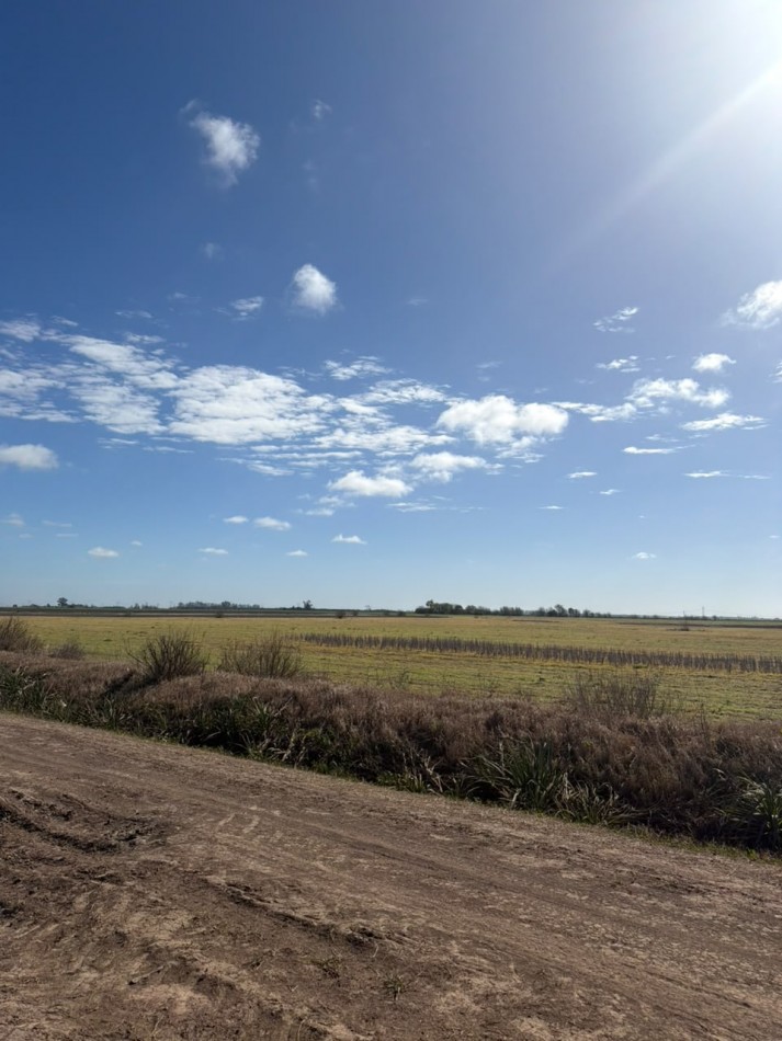  50Ha 100% para agricultura