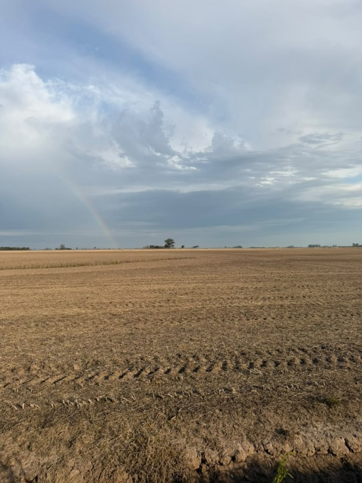 36 hectareas alto rendimiento 100$ agricola