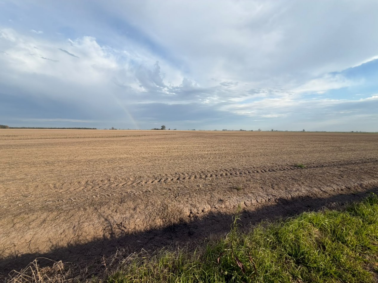 36 hectareas alto rendimiento 100$ agricola