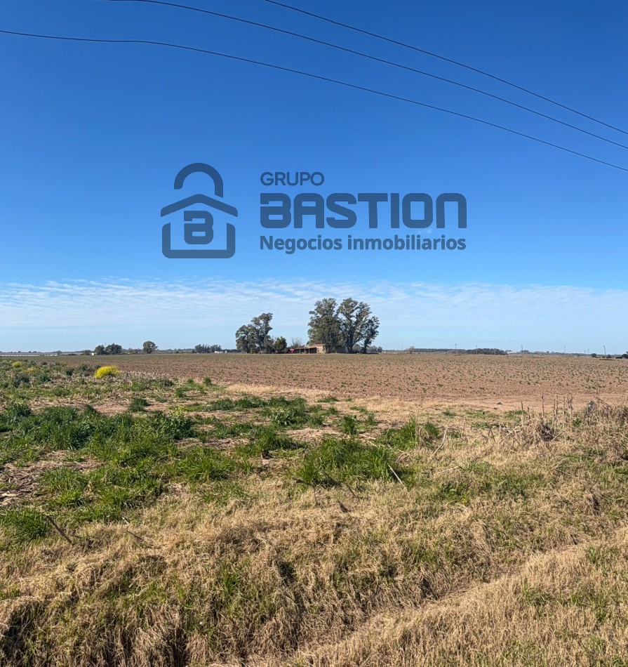 Excelente campo - 40Ha Apto para cultivo de papa