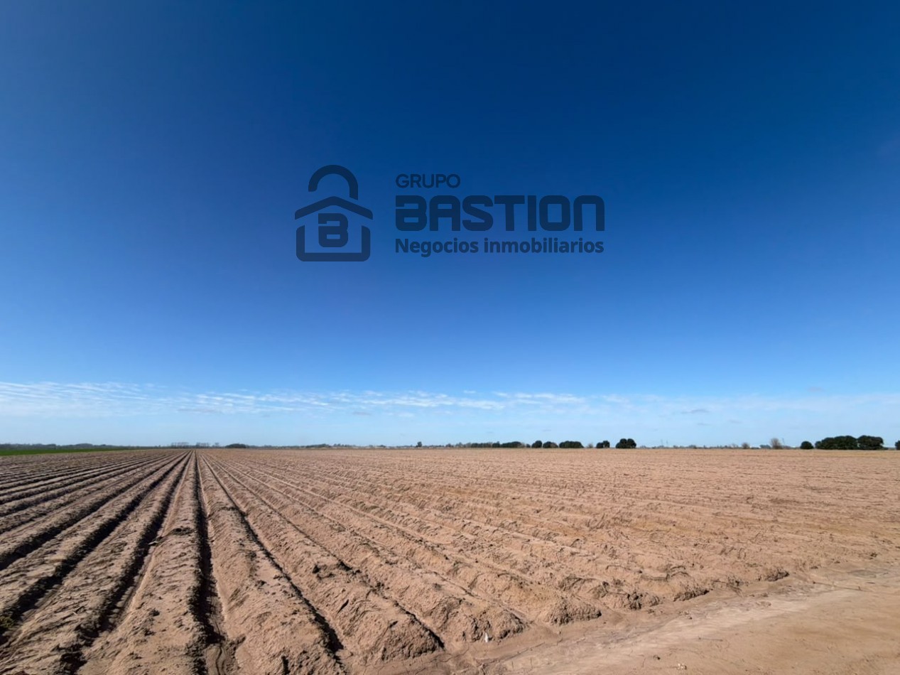 25Ha campo 100% agricola