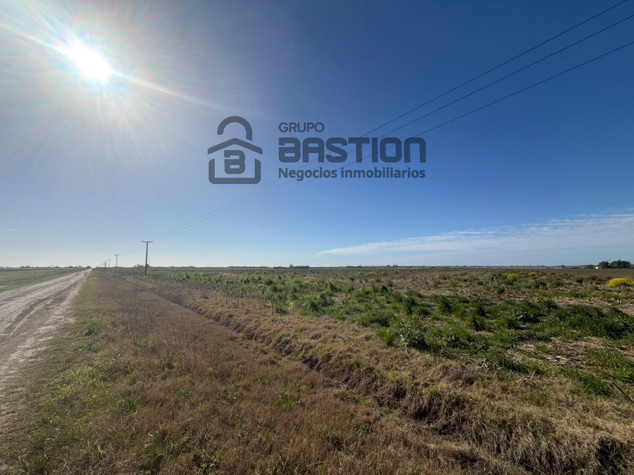 Excelente campo - 40Ha Apto para cultivo de papa
