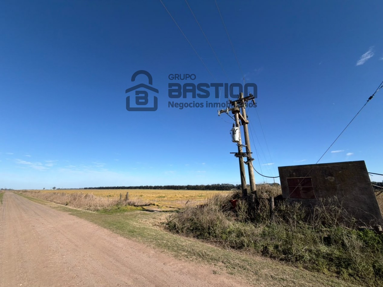 Excelente campo 95Ha con frente al rio parana