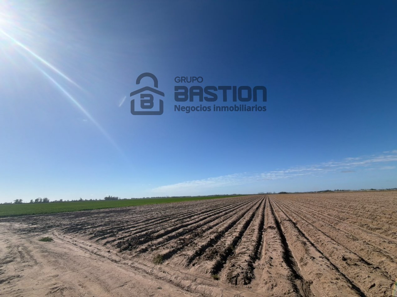 25Ha campo 100% agricola