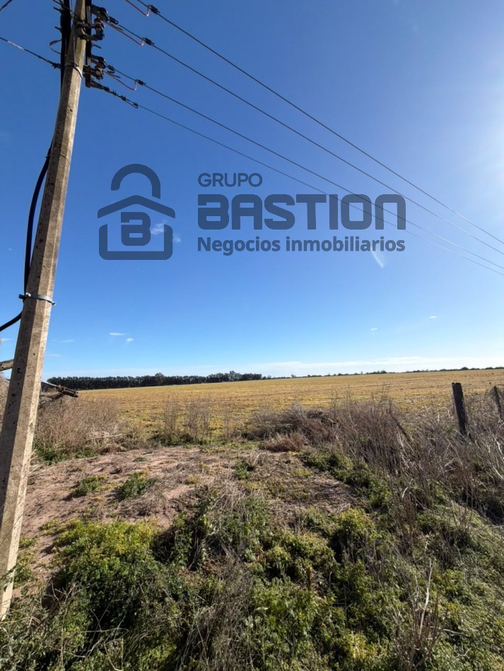 Excelente campo 95Ha con frente al rio parana
