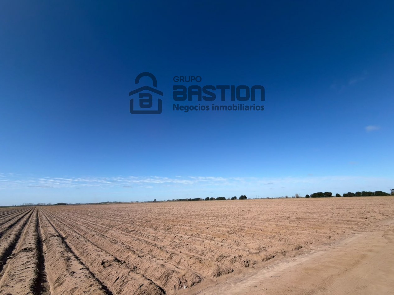 25Ha campo 100% agricola