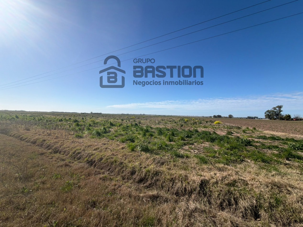 Excelente campo - 40Ha Apto para cultivo de papa