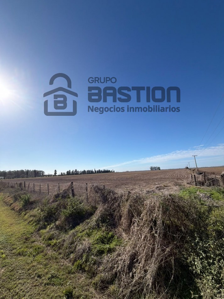 Excelente campo 95Ha con frente al rio parana