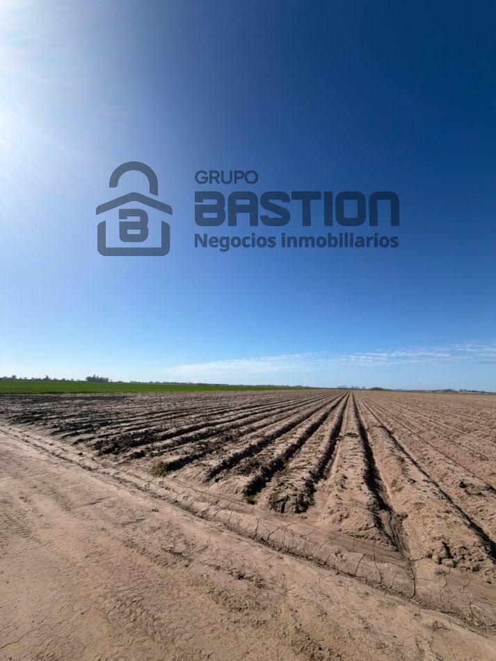25Ha campo 100% agricola
