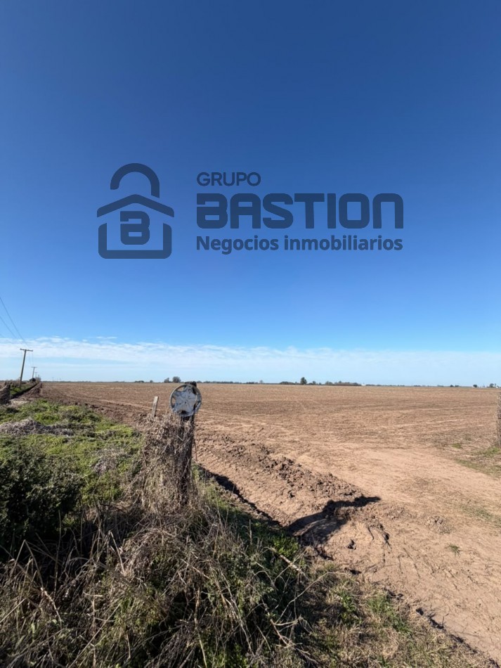 Excelente campo 95Ha con frente al rio parana