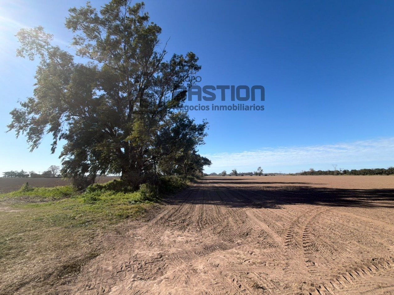 Lote 100% agricola - 33Ha