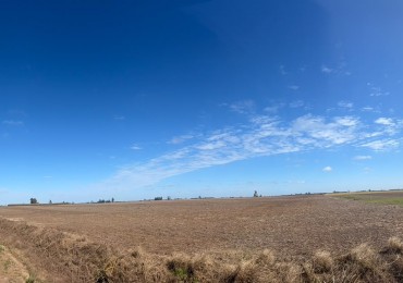 35Ha campo 100% agricola