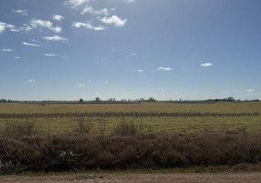  50Ha 100% para agricultura