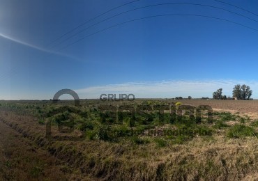 Excelente campo - 40Ha Apto para cultivo de papa