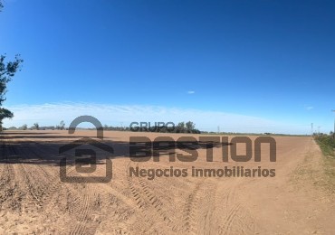 Lote 100% agricola - 33Ha