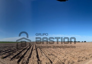 25Ha campo 100% agricola